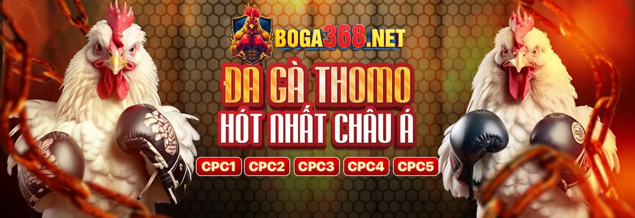 Tổng quan các chương trình khuyến mãi King88 2026